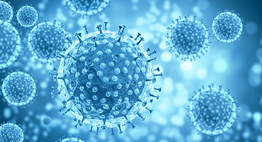 Inmunidad : claves para comprender y reforzar el sistema inmunitario