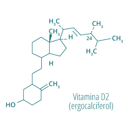 molecula vitamina D3